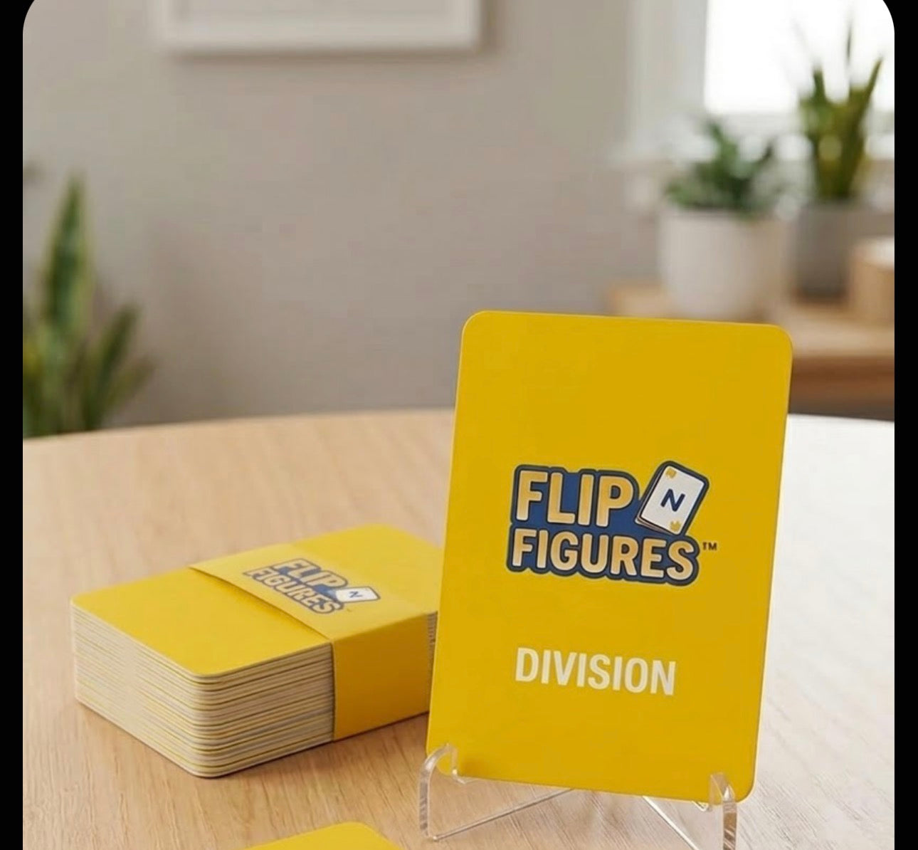 DIVISION FLIP N FIGURES™